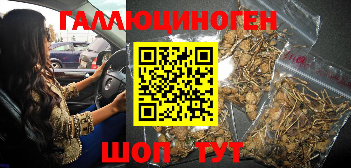 Псилоцибиновые грибы прущие грибы  Псилоцибиновые грибы мухоморы  Мирный  Вход с VPN 